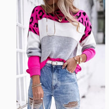 Load image into Gallery viewer, Hot Pink Leopard Print Striped Sweater